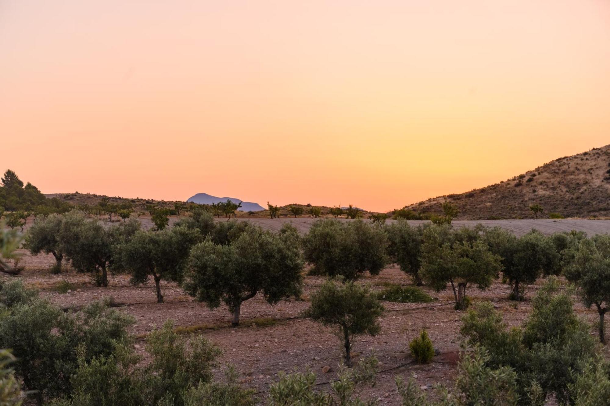 Complejo Rural Sol De Taberno Konuk evi Dış mekan fotoğraf